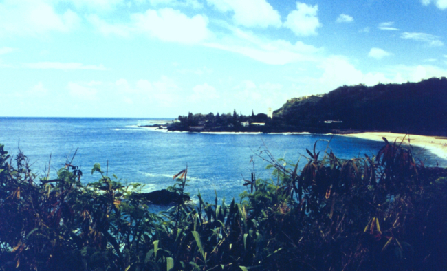 Waiamea Bay, the scene of huge winter surf