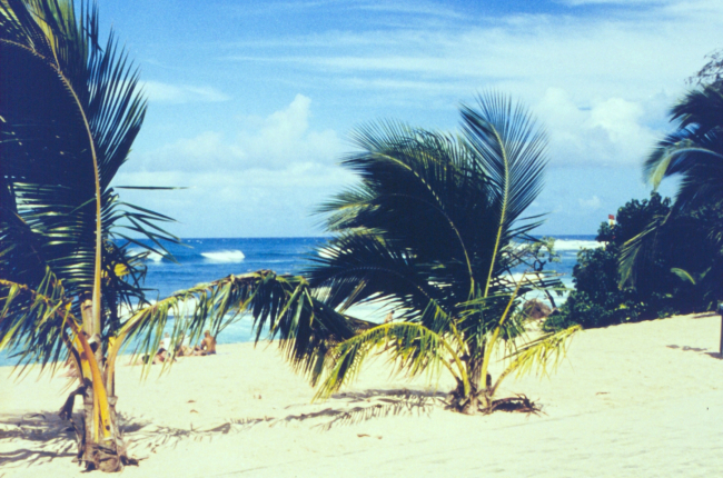 Sunset Beach on the North Shore