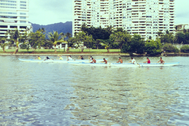 Practicing for outrigger races in the Ali Wai Canal near Waikiki Beach