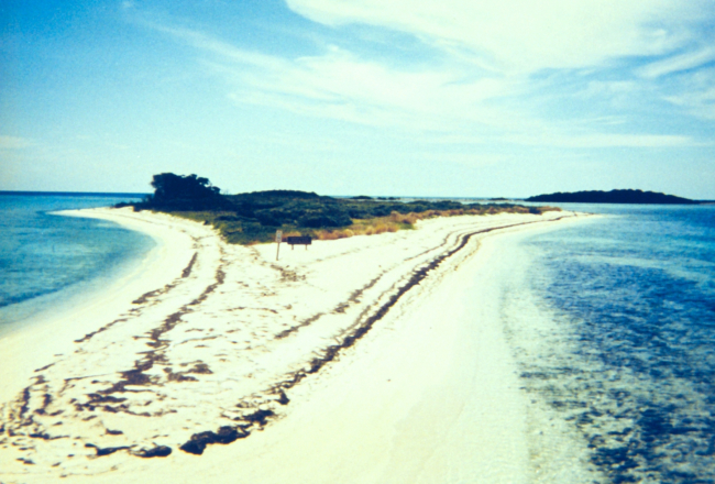 The bird refuge adjacent to Fort Jefferson