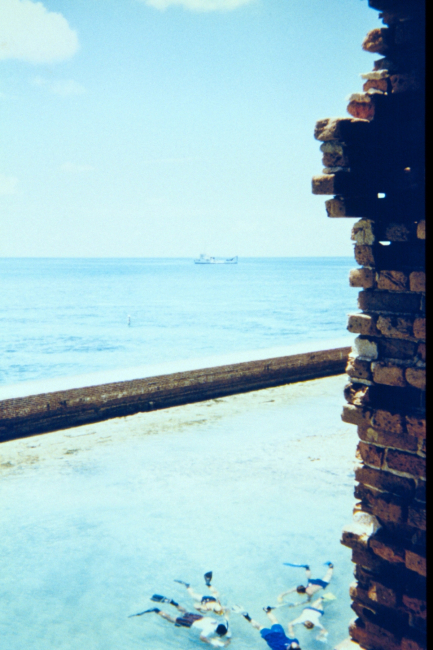 Snorkelers studying marine life in the moat