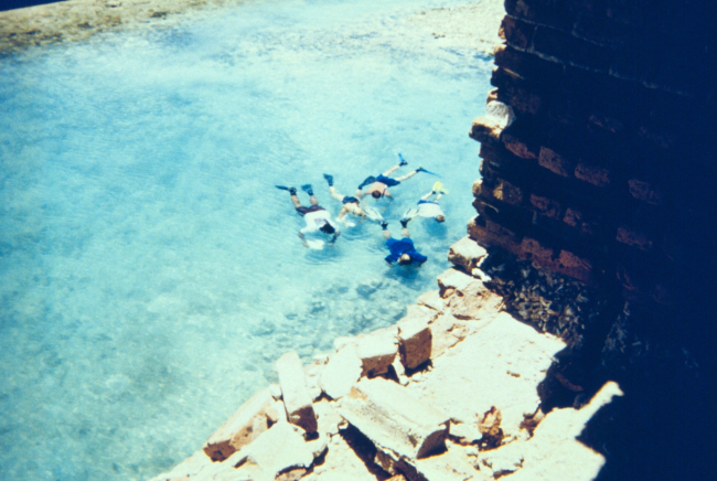 Snorkelers studying marine life in the moat
