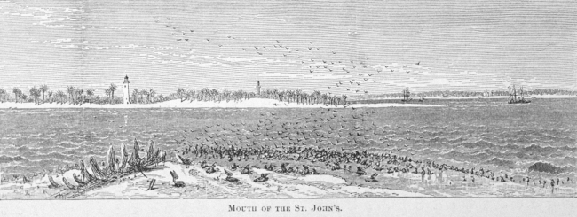 Mouth of the St