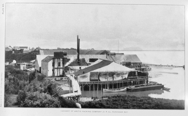 Cannery of Arctic Packing Company (A