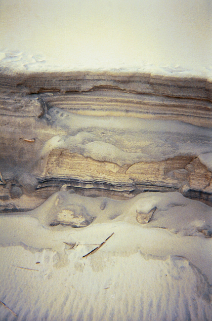 Horizontal sand laminations show along eroding dune