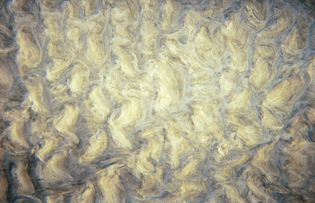 A beautiful ripple pattern in the tidal zone
