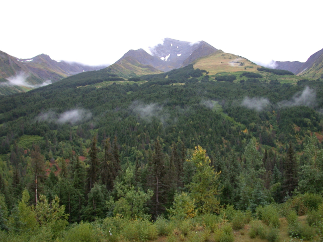 Inland from Anchorage