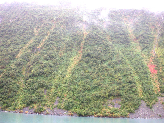Kenai Fjords area from offshore showing low brush and beginnings of fall colors