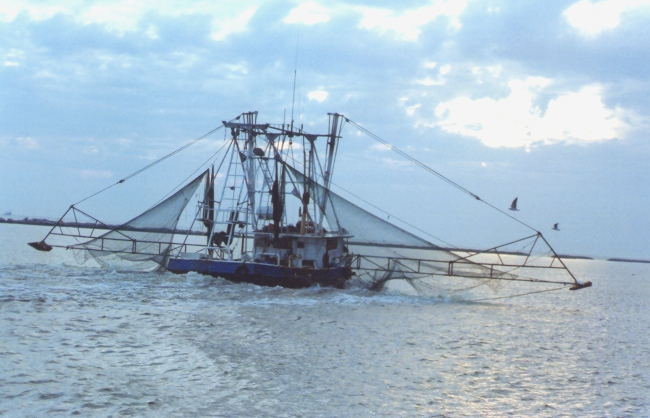Shrimp boat