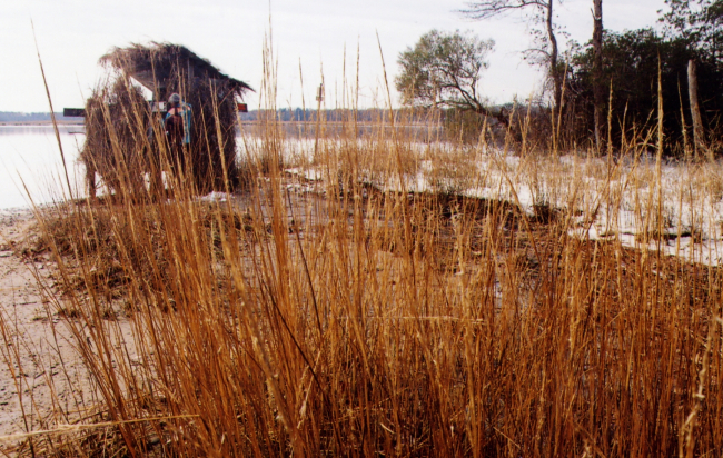 Patuxent River duck blind