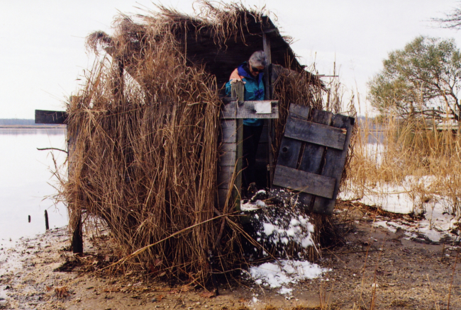 Patuxent River duck blind