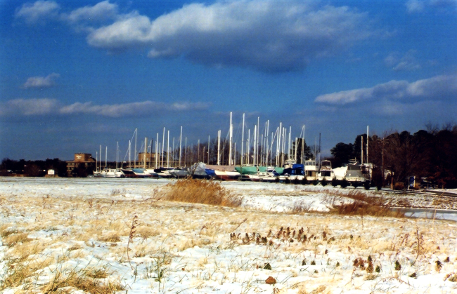 Sailboats in hibernation for the winter