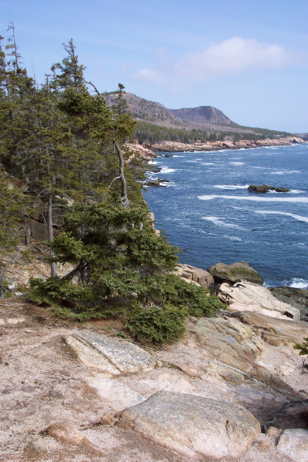 Looking north from the Otter Cliffs