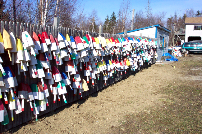 Floats for lobster traps adorning a Maine fence