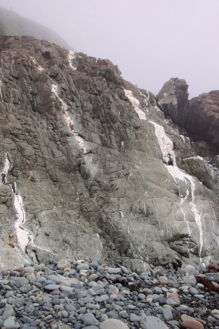 Metamorphic rocks smoothed by the surf at West Quoddy Head