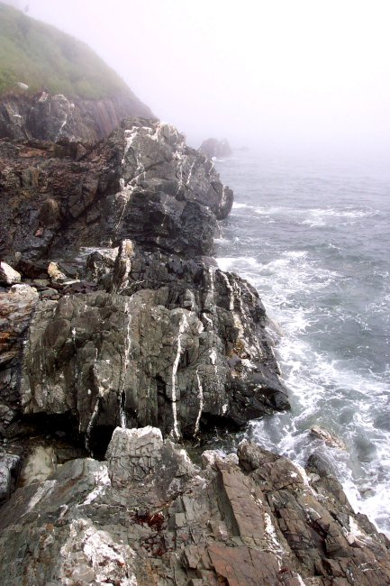 Quartz-veined metamorphic rocks below West Quoddy Head