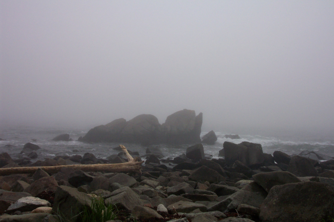 Part of a foggy rocky shoreline at West Quoddy Head
