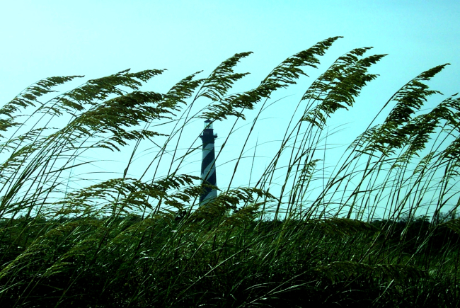 Cape Hatteras Lighthouse seen through the sea oats