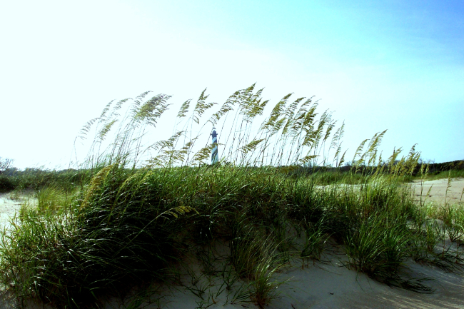 Cape Hatteras Lighthouse seen through the sea oats