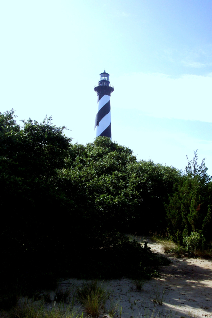 Cape Hatteras Lighthouse looming above the brush in the dune line