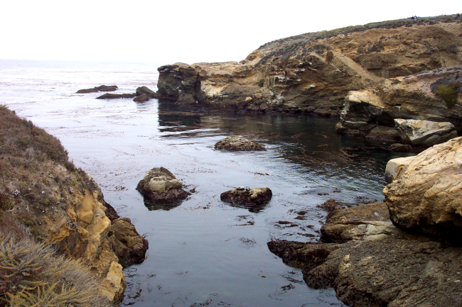 A quiet cove (on this day) at Point Lobos