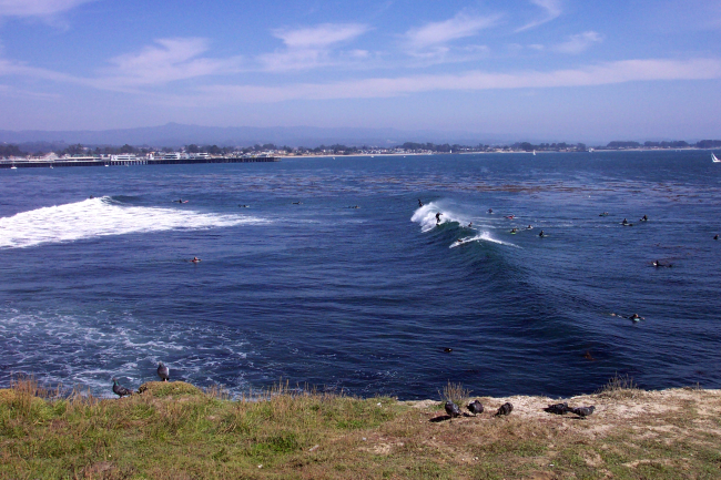 Surfing at Steamers Lane