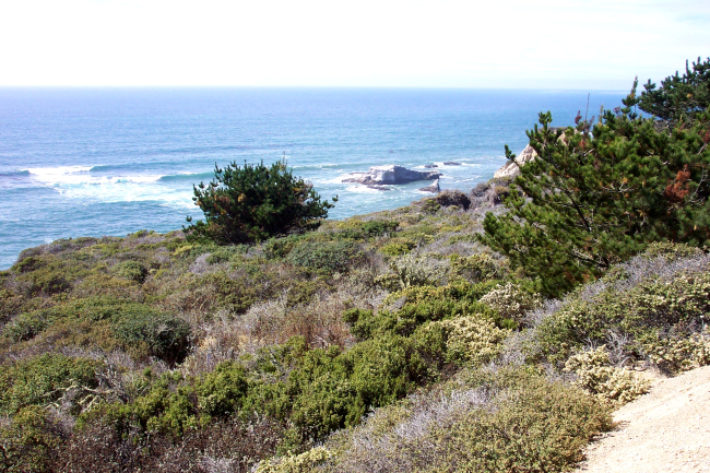 A seaview along the coast near Davenport