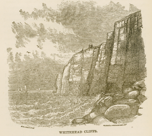Whitehead Cliffs as seen in The History of Maine by John C