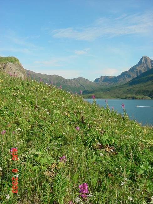 On Gunnysack Island at Kuiutka Bay