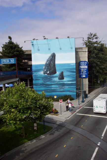 A humpback whale mural of mother and calf spy-hopping at Pier 39, nearFisherman's Wharf