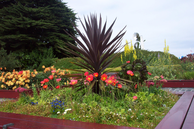 One of many public gardens beautifying San Francisco