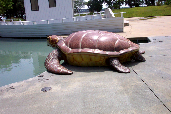 Sea turtle sculpture at Daniel Island Children's Park