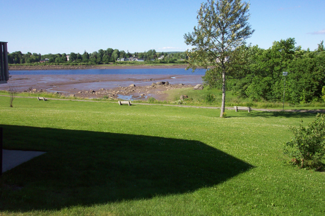 A low tide along the St