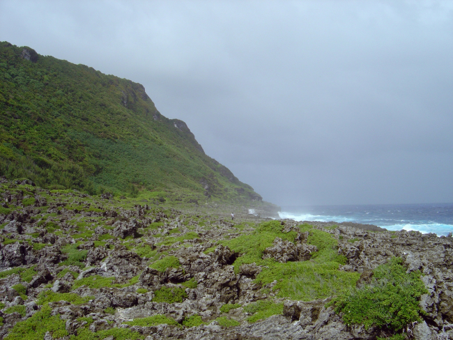 Eroded coral rock on the coast of Guam