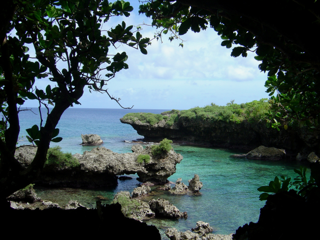 Eroded and undercut coral on the coast of Guam make a unique rock garden