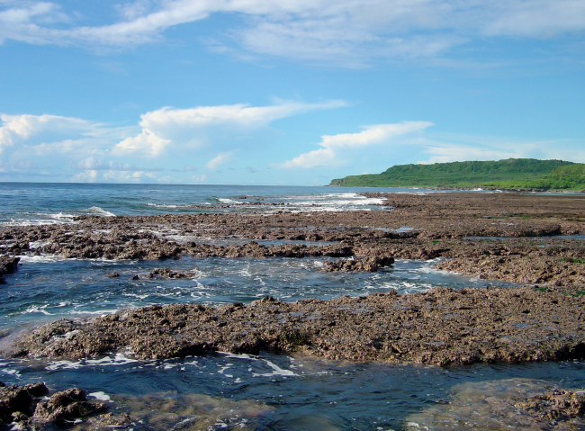 Uncovered reef flat with intervening channels at low tide on the Guam coastline