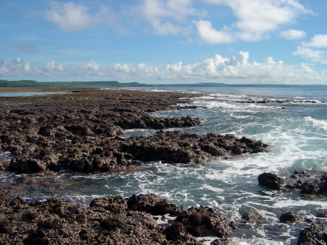 Uncovered reef flat with intervening channels at low tide on the Guam coastline