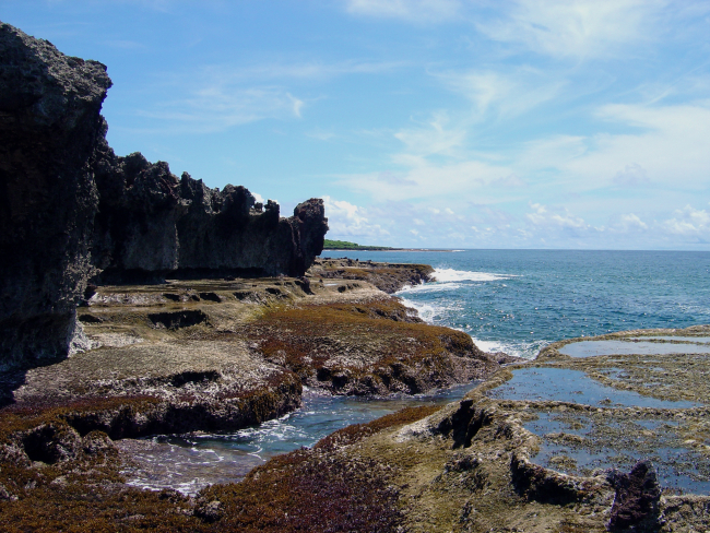 Uncovered reef flat with intervening channels at low tide on the Guam coastline