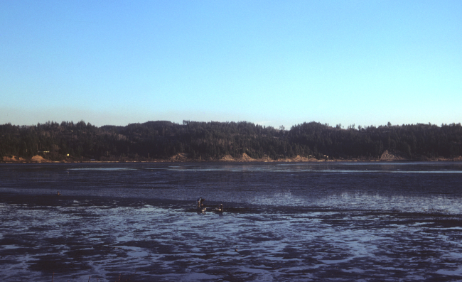 Mud flats and clammers at low tide