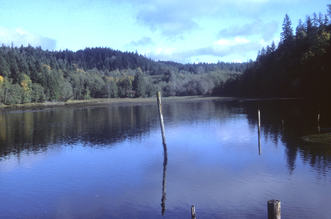 Tidal inlet