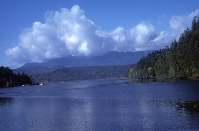 Tidal inlet in fall