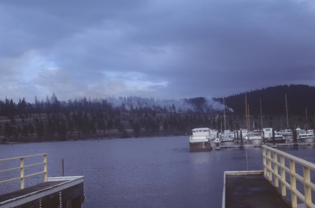Yachts with lumber mill in background
