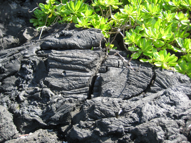 Volcanic rock formations along the coast at Moano o sina