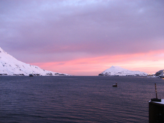 Pink glow of sunset on a winter evening