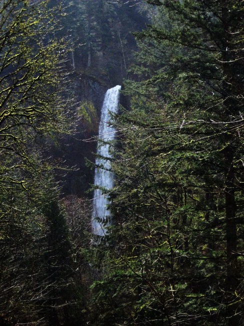 Multnomah Falls