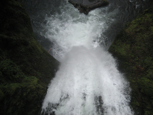 Multnomah Falls looking down the lower falls