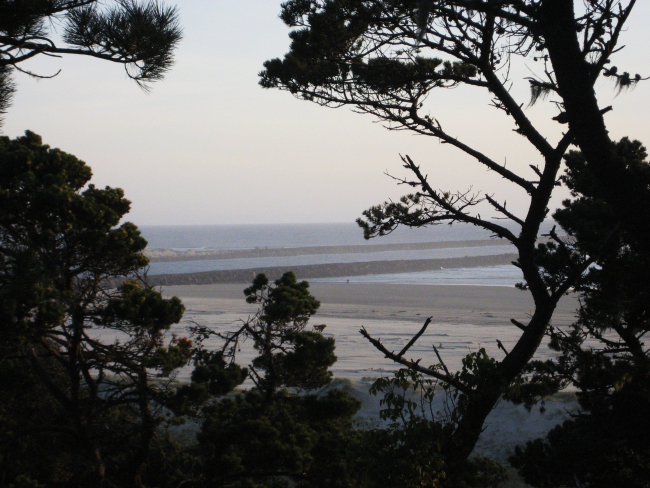 The breakwater at Newport as seen through the trees