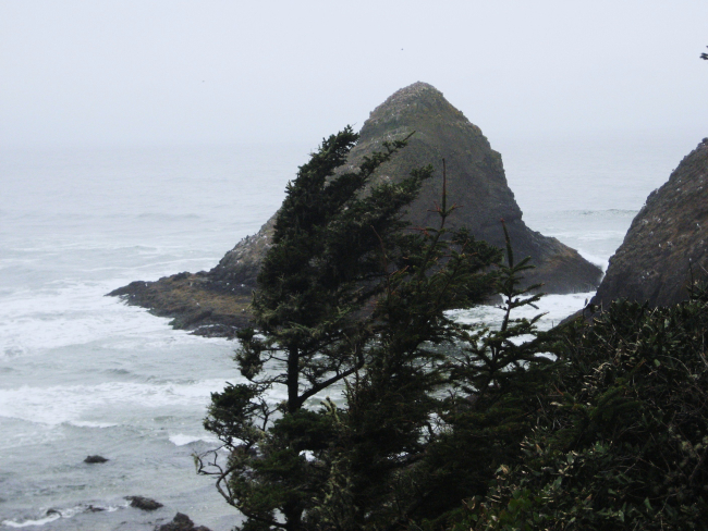 Island off Heceta Head
