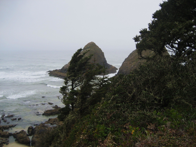 Island off Heceta Head