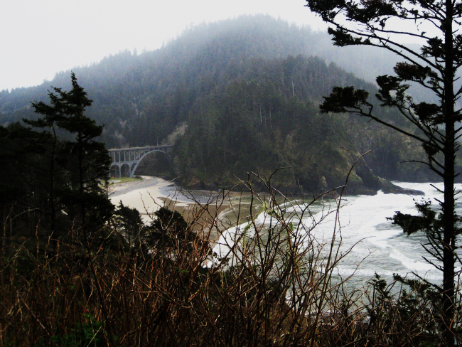 Coastal stream meeting surf on an Oregon headland